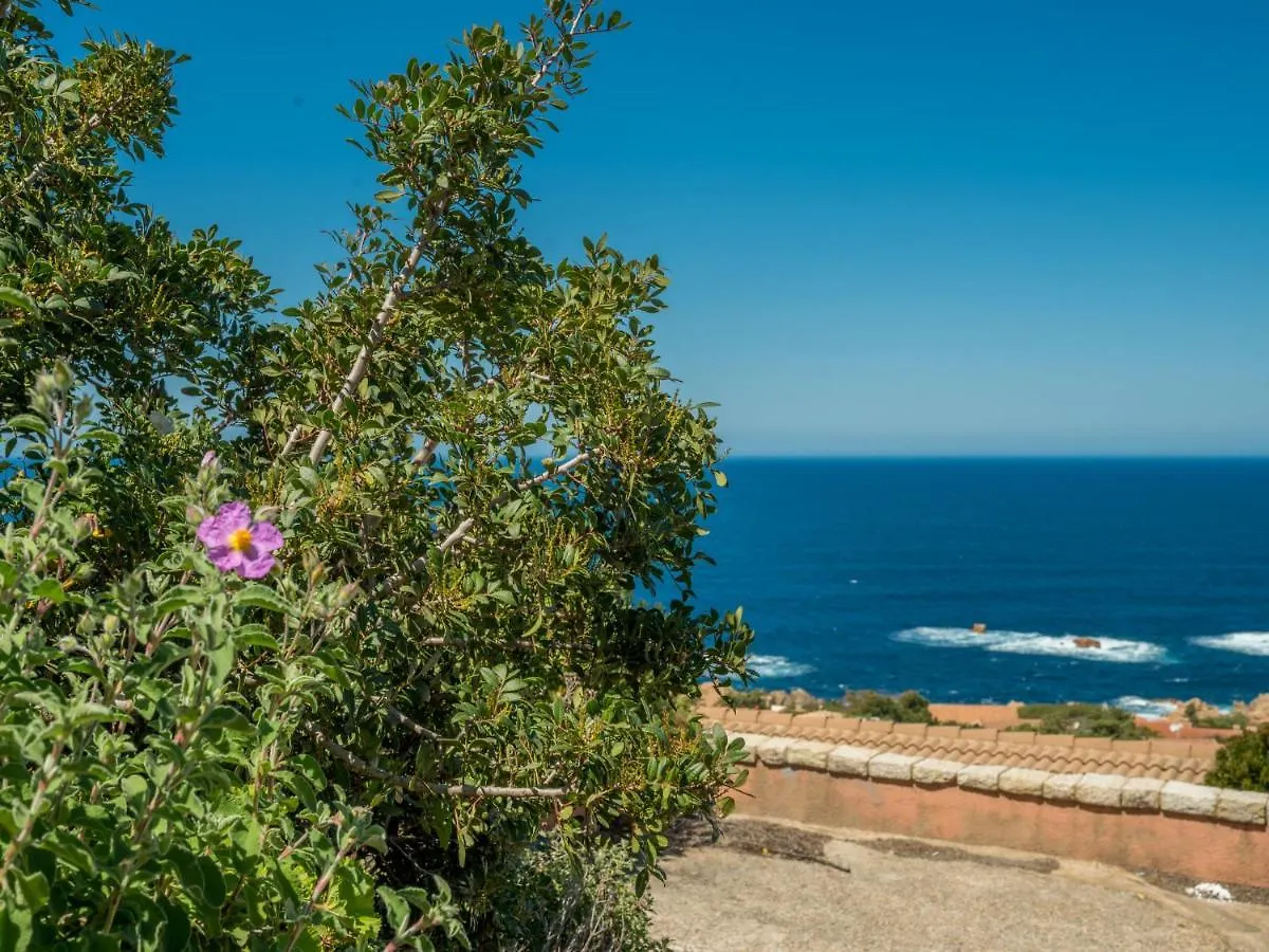 Holiday Home Villa Ilaria By Interhome Costa Paradiso